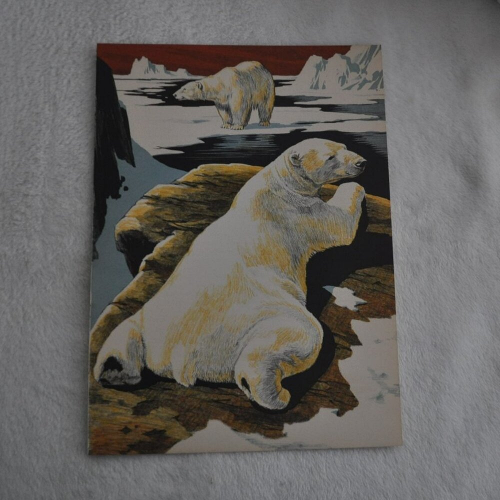 Polar Bears 1950s wildlife book illustration Lee Ames bookplate vintage print